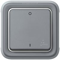 Двухполюсный выключатель - Программа Plexo - серый - 10 AX | код 069530 |  Legrand